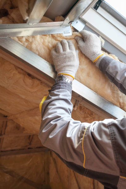 Trusted Theodore, AL Insulation Contractor Experts