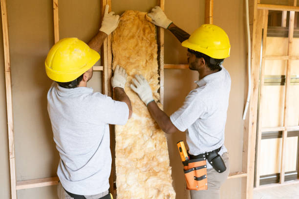 Best Insulation Inspection Services  in Theodore, AL