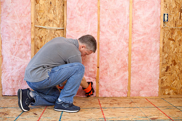 Best Spray Foam Insulation  in Theodore, AL