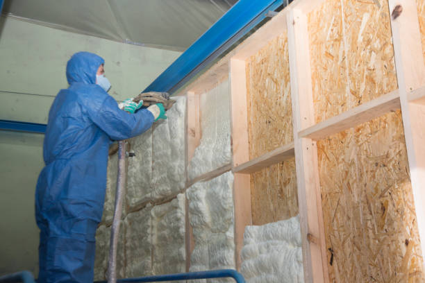 Best Insulation Replacement Services  in Theodore, AL